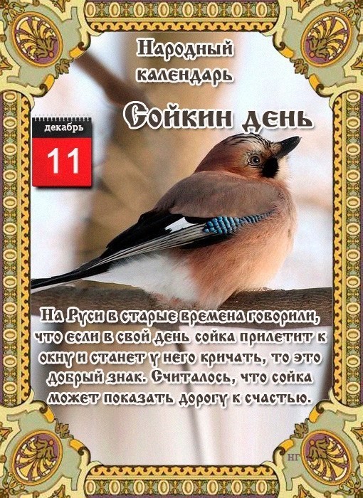11 декабря народный календарь