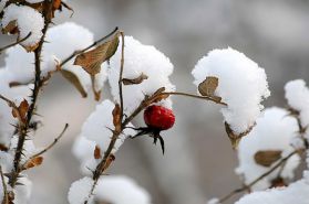 Народные приметы декабря для детей