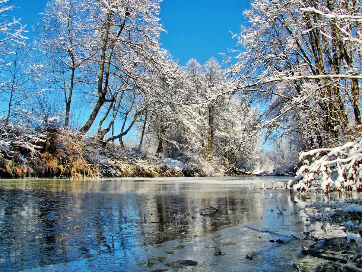 приметы на март