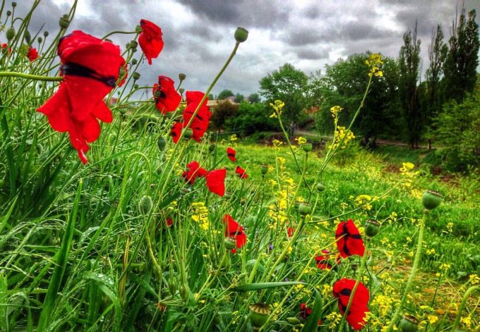 Народные приметы мая на каждый день