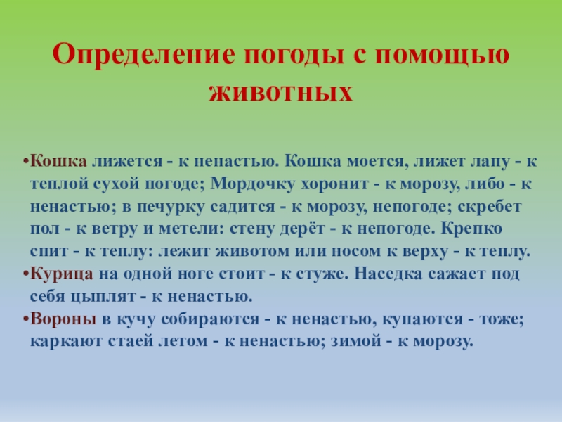 Определение погоды с помощью животныхКошка лижется - к ненастью.