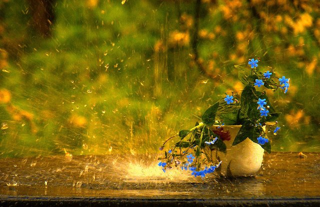 Август дождь