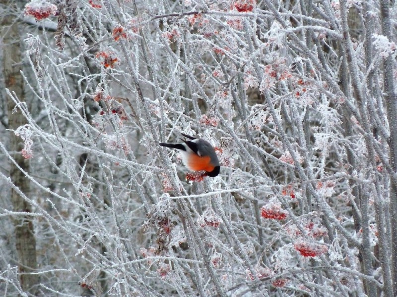 Народные приметы на январь 2020 года