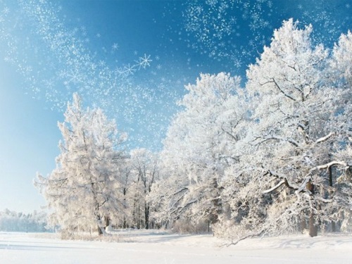 Народные приметы на январь 2020 года