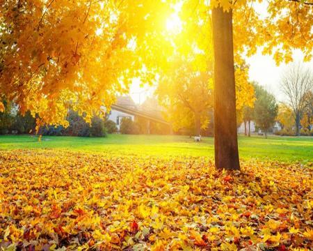 народные приметы и погода