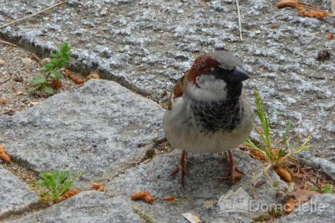 народные приметы и погода