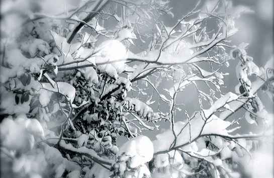 Погода и приметы декабря