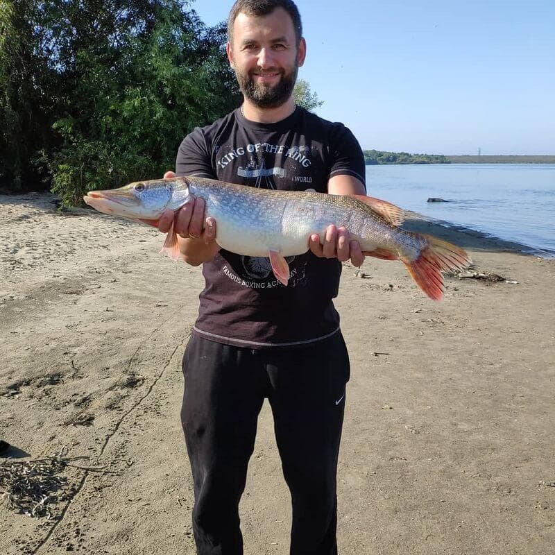 Лучшая погода для ловли щуки по сезонам