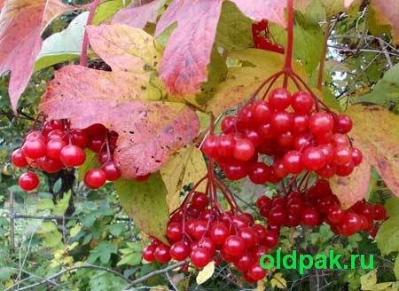 Приметы сентября