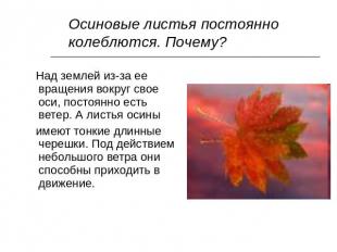 Осиновые листья постоянно колеблются. Почему? Над землей из-за ее вращения вокру