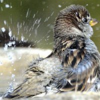 Приметы для детей. Народные приметы о погоде детям