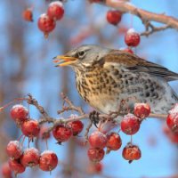 приметы для детей
