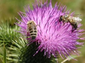 Приметы июня