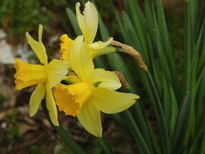 народные приметы по которым можно определить погоду