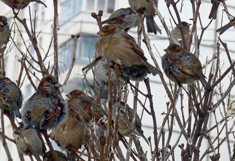 Приметы и поверья на сегодня, 25 февраля 2020 года, расскажут какой будет погода в марте и августе
