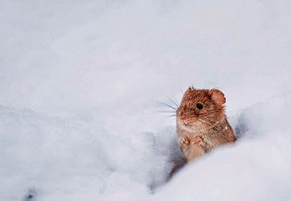 Природные приметы о погоде и непогоде