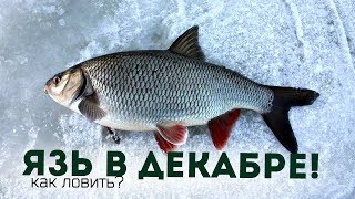 Какую удочку надо для щуки