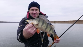 Sunline pe jigger где