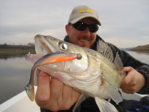 Судак пойман на оранжевый виброхвост джигом