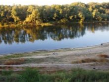 Прогноз клева в Воронежской области