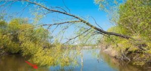 поплавочная рыбалка летом на реке