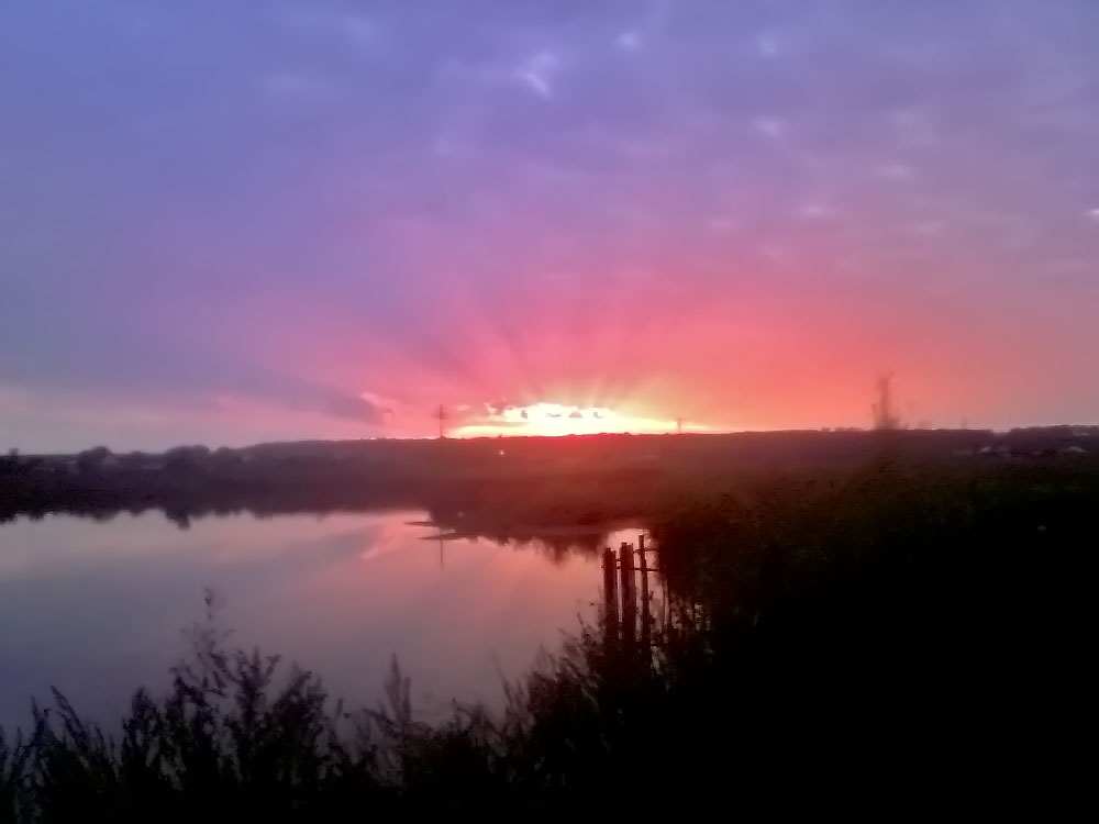 Ловля карася летом во время дождя и на заре или закате одно из самых интересных занятий, фото