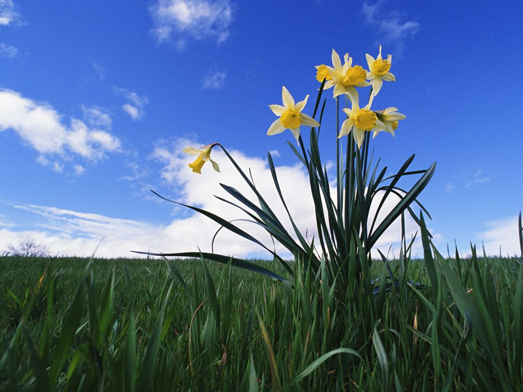 Прогноз на июнь