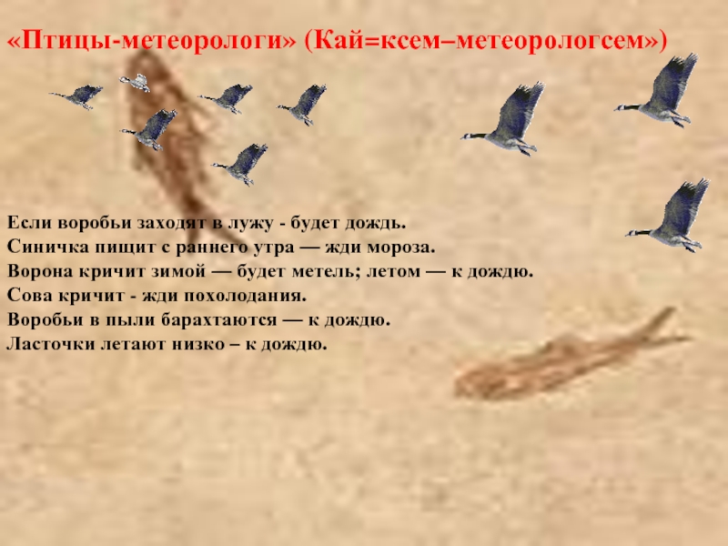 «Птицы-метеорологи» (Кай=ксем–метеорологсем»)Если воробьи заходят в лужу - будет дождь.Синичка