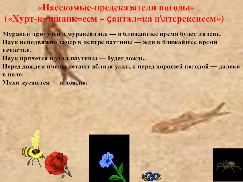 «Насекомые-предсказатели