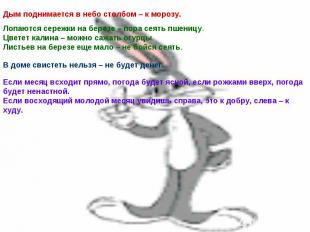 Лопаются сережки на березе – пора сеять пшеницу. Цветет калина – можно сажать ог