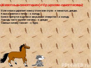 Если кошка царапает ножку стола или стула - к ненастью, дождю.Кошка жмется к печ