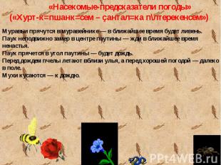 &laquo;Насекомые-предсказатели погоды&raquo; (&laquo;Хурт-к=пшанк=сем – çантал=ка п\лтерекенсем&raquo;)М