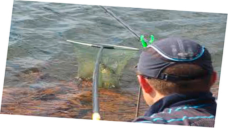 Рыбалка для новичков.