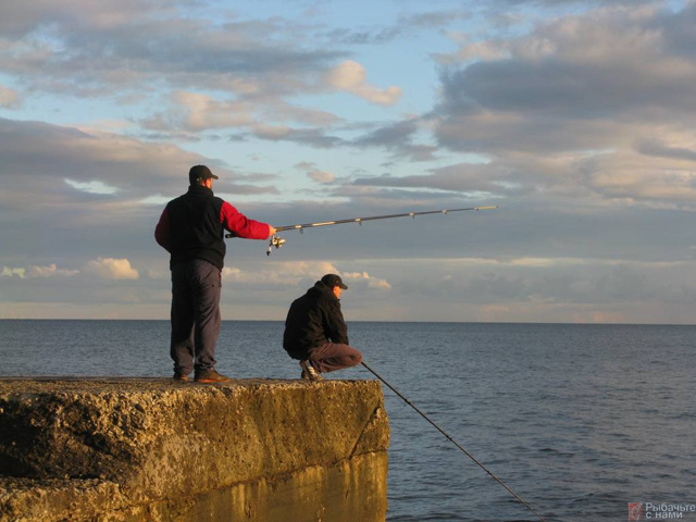 Рыба сарган черноморский: характеристика, поведение, способы ловли