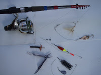 Рыба сарган черноморский: характеристика, поведение, способы ловли