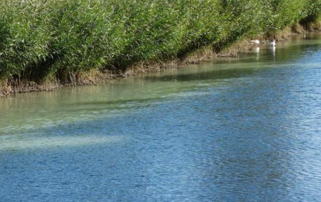 рыбалка в балаково