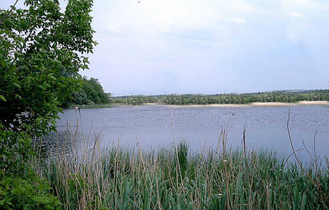 Белгородская область