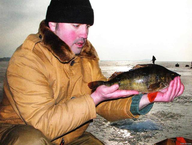 Рыбалка в глухозимье – поведение рыбы и как её ловить