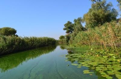 Лучшая погода для ловли