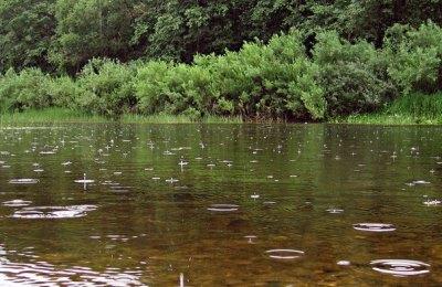 Дождливая погода