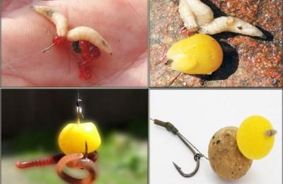 Животная приманка