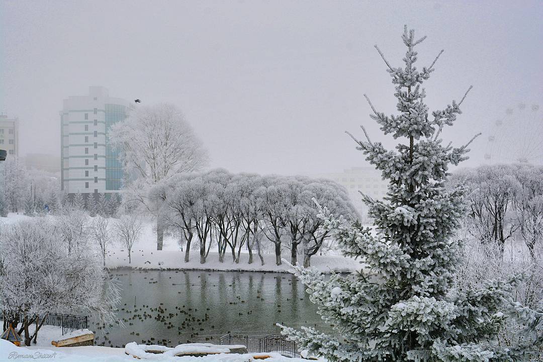 Куда поехать на рыбалку в кировской области и кирове и запрет 2019