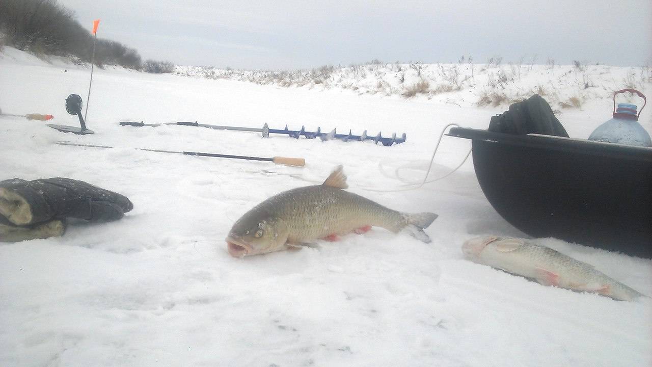Рыбалка в кирове и кировской области зимой и в другие сезоны года