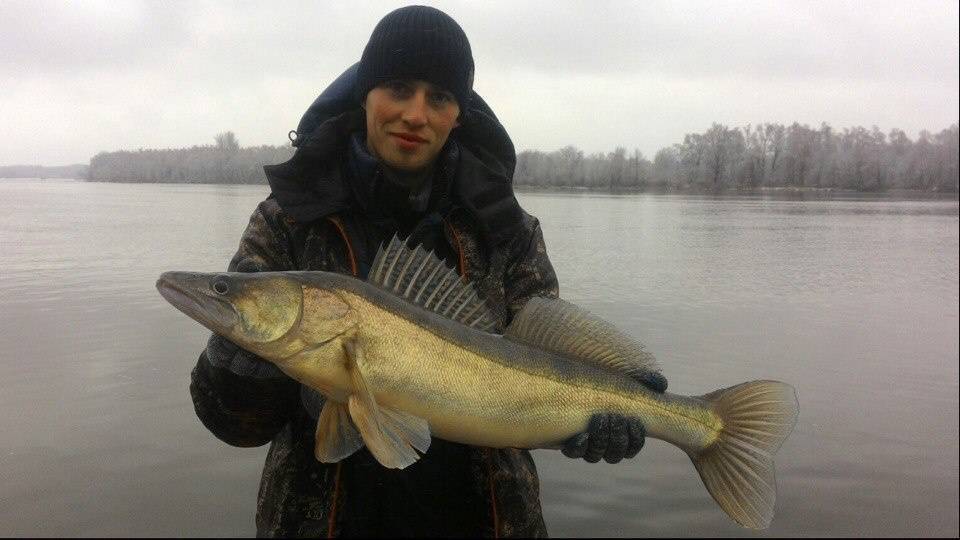 Киров - календарь рыболова. рыбалка в кирове, график клёва рыбы.
