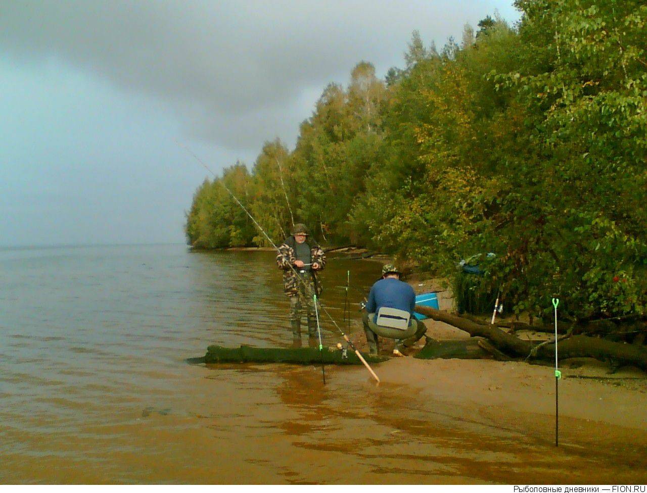 Рыбалка в нижегородской области