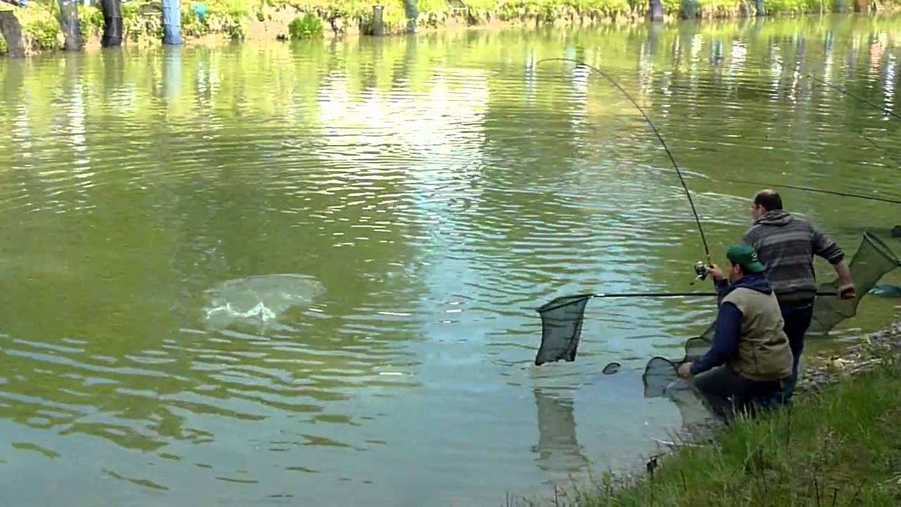 Озёра нижегородской области: для отдыха, купания, рыбалки, карта, фото, легенды