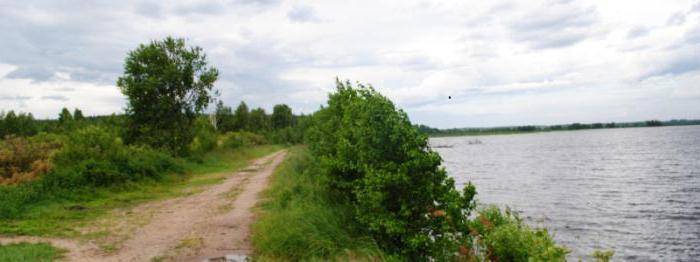 Рыбалка в нижегородской области: где клюет, кого ловить, правила