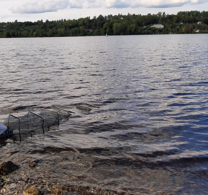 Рыбалка в Плесе Ивановская область