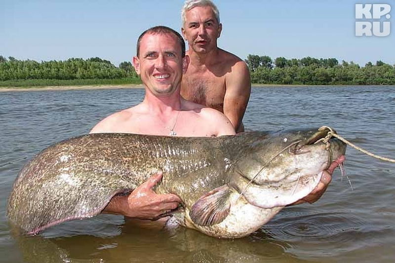 Рыбалка в волгоградской области