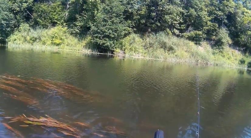 Рыбалка на Хопре